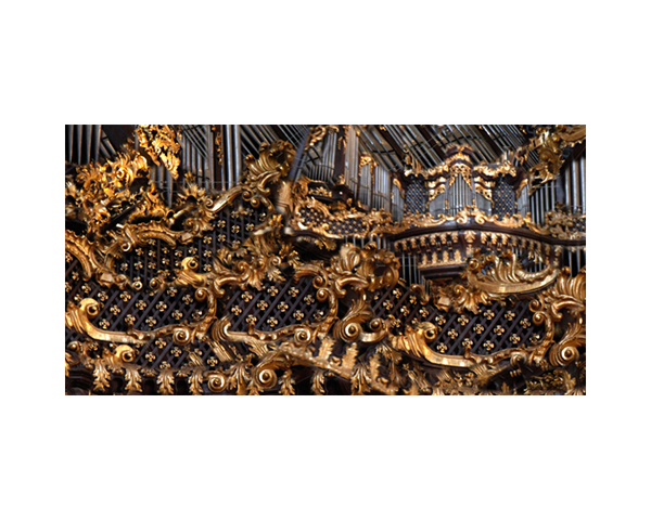 Vienna Saint Peters Organ